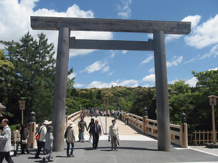 torii6 grande