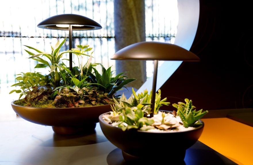 Градина: столна ламба со мини градина